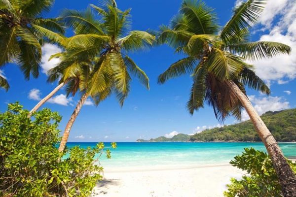 Tropical-Beach-Paradise-topito